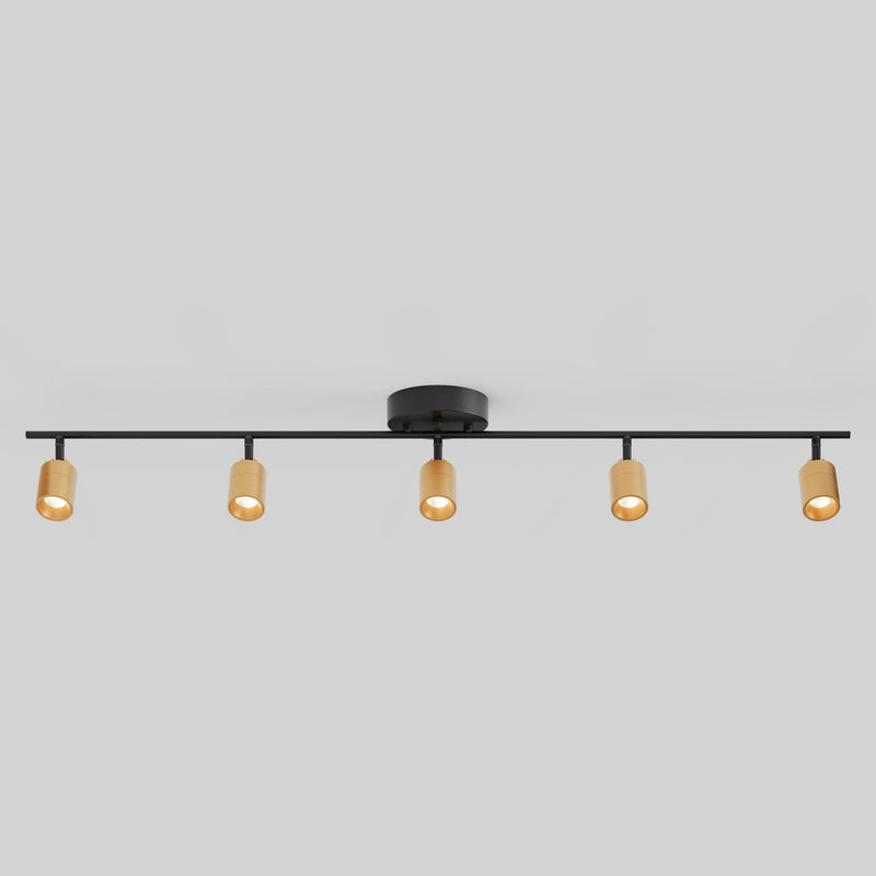 Shura 5 Head Track Light — Brass And Black