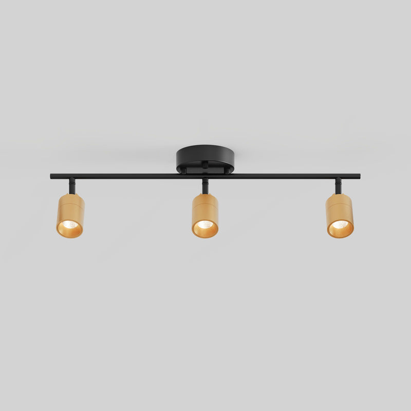 Shura 3 Head Track Light — Brass And Black