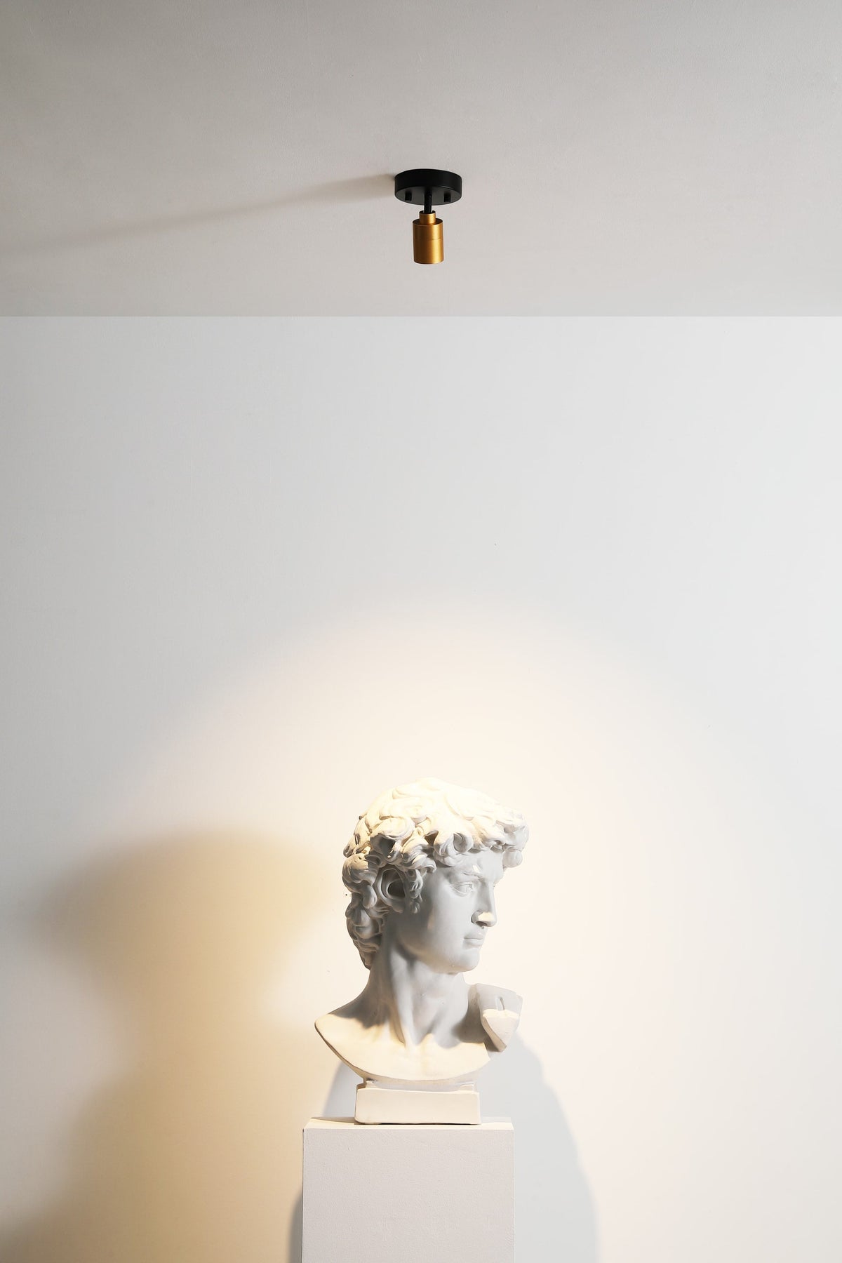 Spot Light