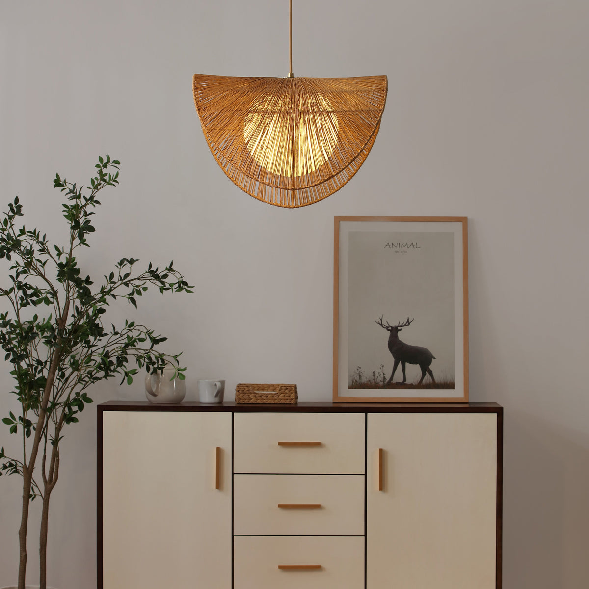 Pendant Light
