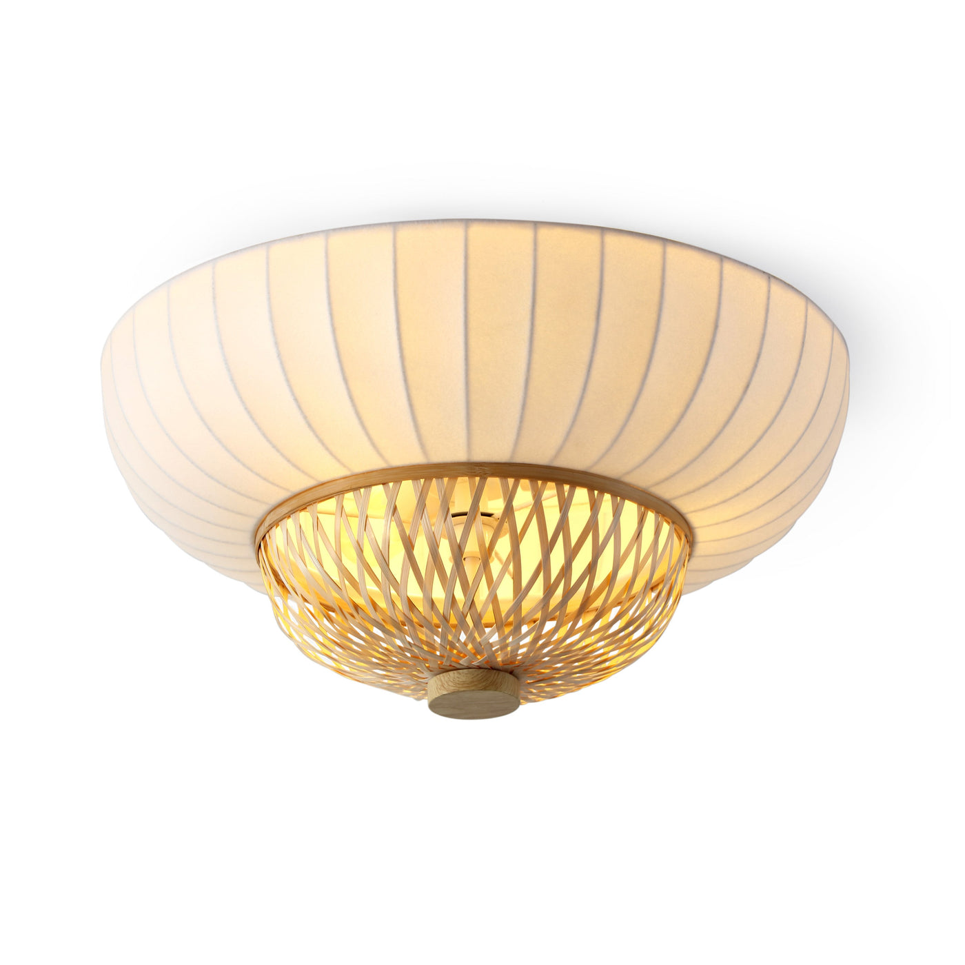 Hikari collection