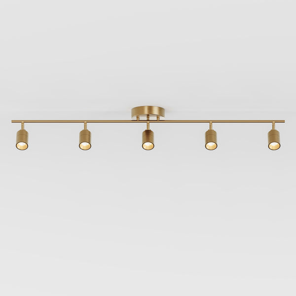 Shura 5 Head Track Light