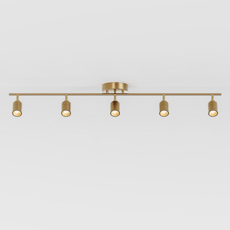 Shura 5 Head Track Light — Brushed Brass
