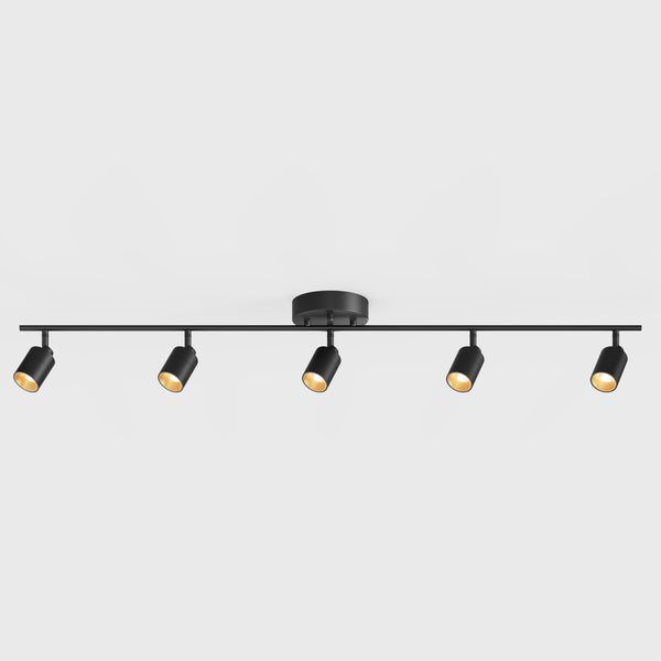 Shura 5 Head Track Light