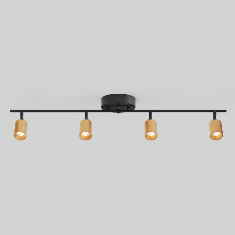 Shura 4 Head Track Light — Brass And Black