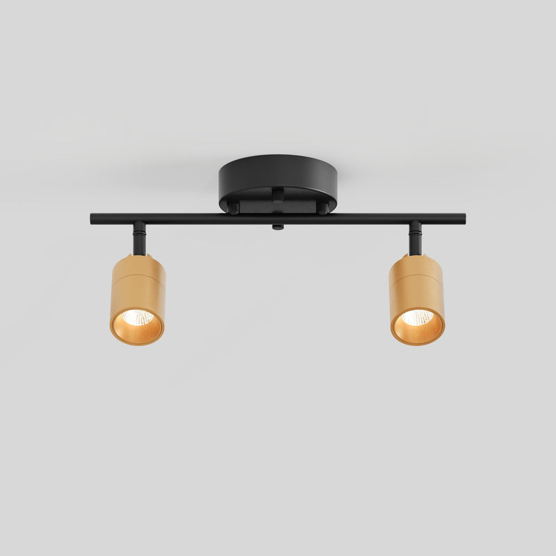 Shura 2 Head Track Light — Brass And Black