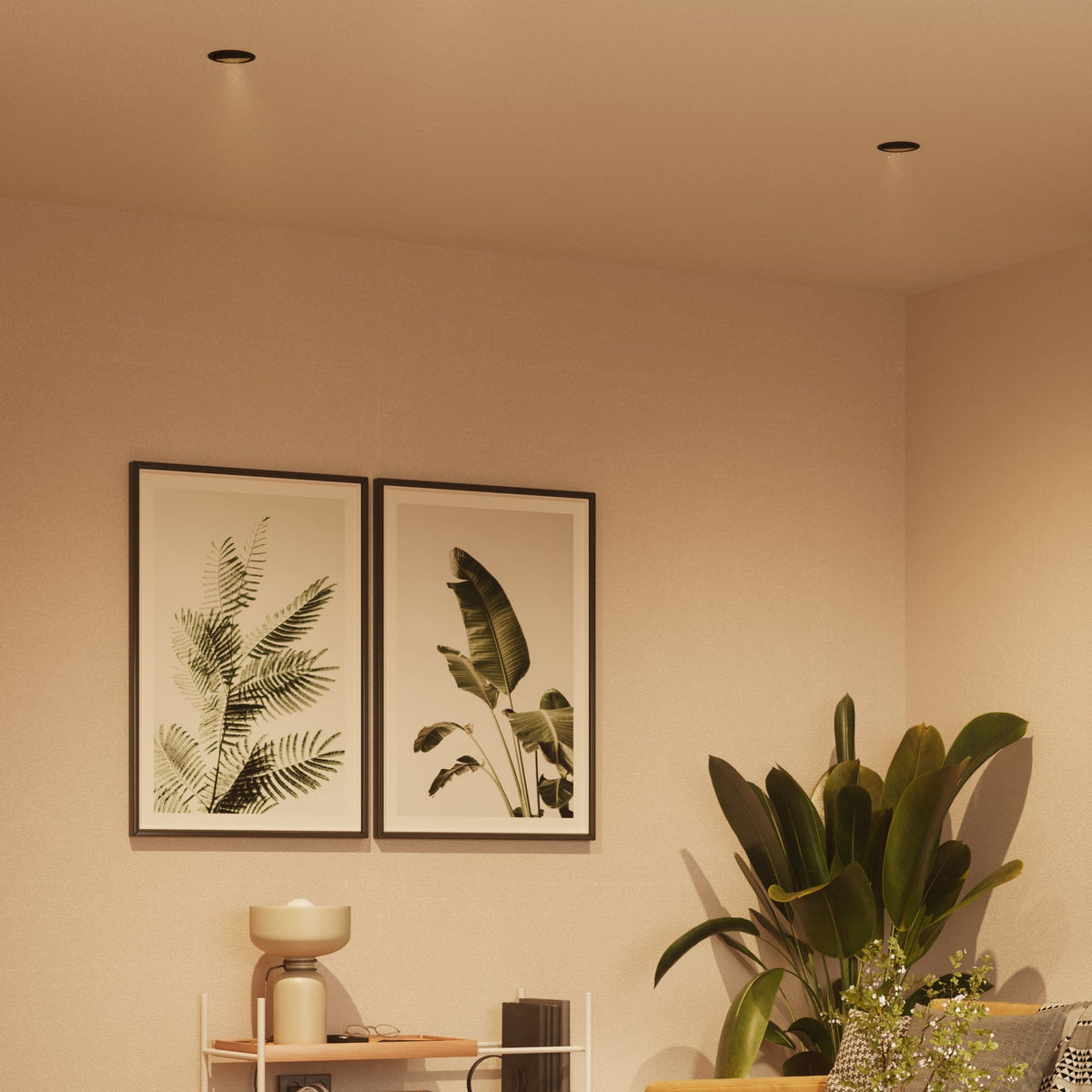 Recessed Downlight