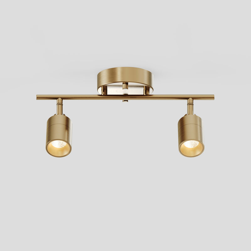 Shura 2 Head Track Light — Brushed Brass