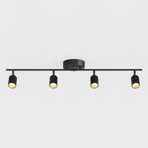 Shura 4 Head Track Light